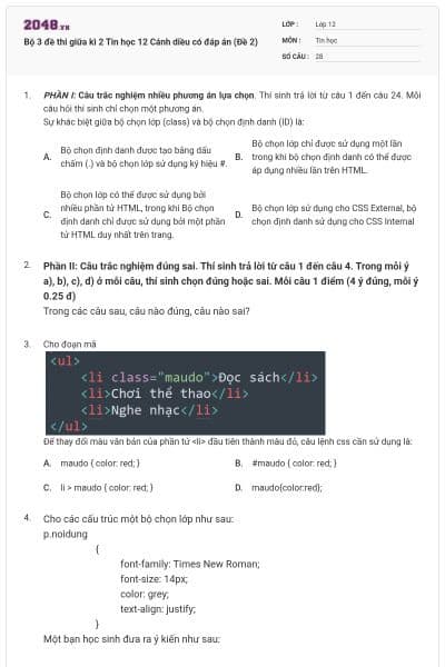 Bộ 3 đề thi giữa kì 2 Tin học 12 Cánh diều có đáp án (Đề 2)