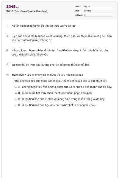 Bài 16: Tiêu hóa ở động vật (tiếp theo)