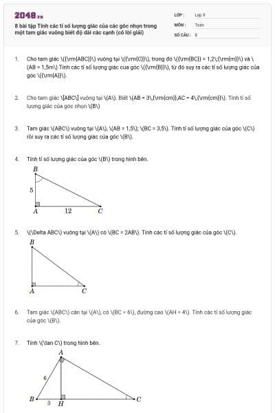 8 bài tập Tính các tỉ số lượng giác của các góc nhọn trong một tam giác vuông biết độ dài các cạnh (có lời giải)