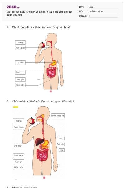 Giải bài tập SGK Tự nhiên và Xã hội 2 Bài 5 (có đáp án): Cơ quan tiêu hóa