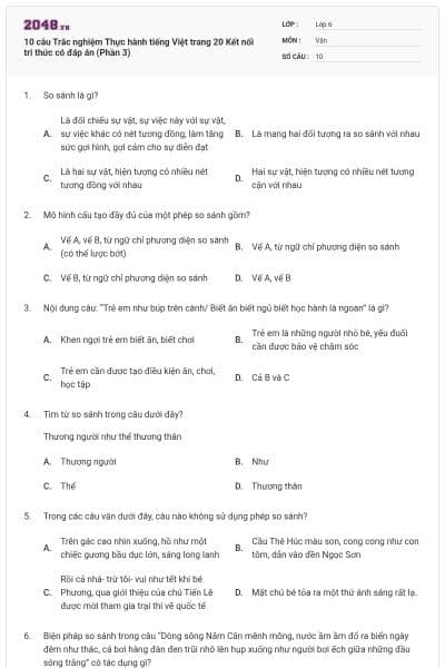 10 câu Trắc nghiệm Thực hành tiếng Việt trang 20 Kết nối tri thức có đáp án (Phần 3)