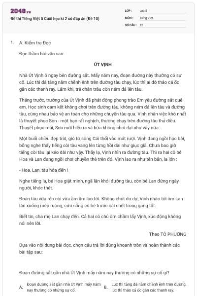 Đề thi Tiếng Việt 5 Cuối học kì 2 có đáp án (Đề 10)