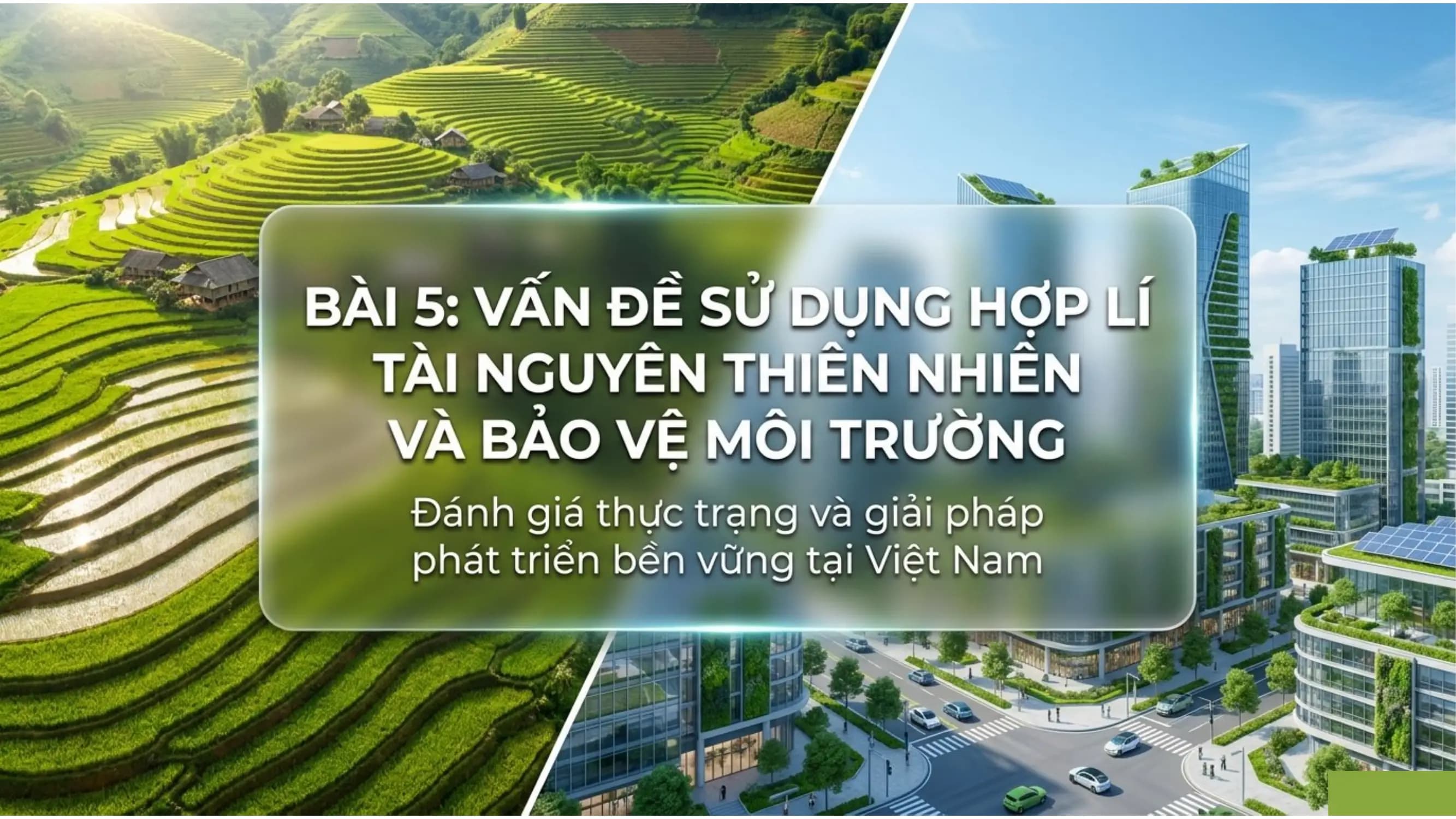 Nội dung nhập