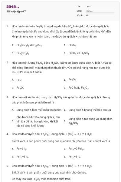 Bài luyện tập số 7