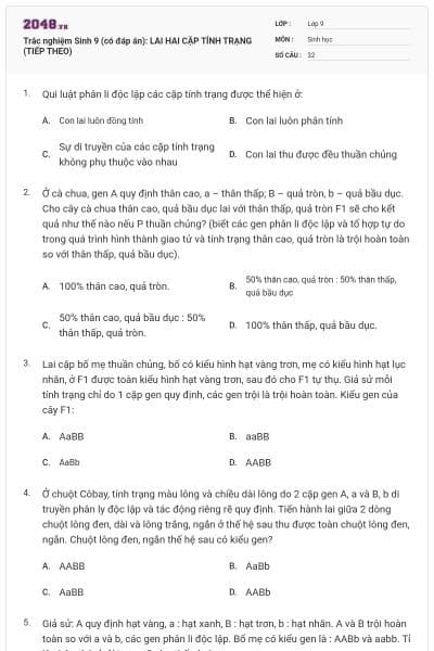 Trắc nghiệm Sinh 9 (có đáp án): LAI HAI CẶP TÍNH TRẠNG (TIẾP THEO)