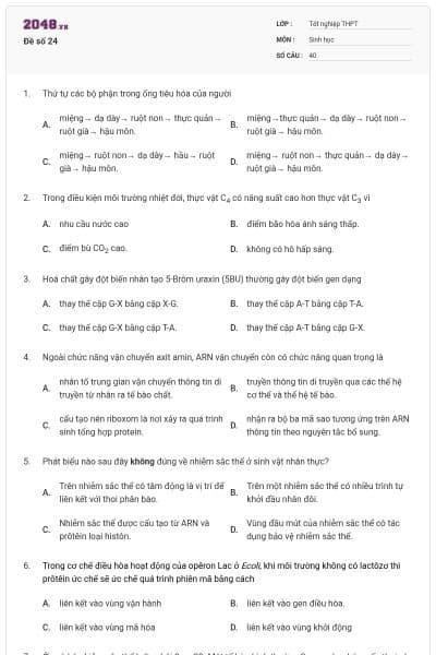 Đề số 24