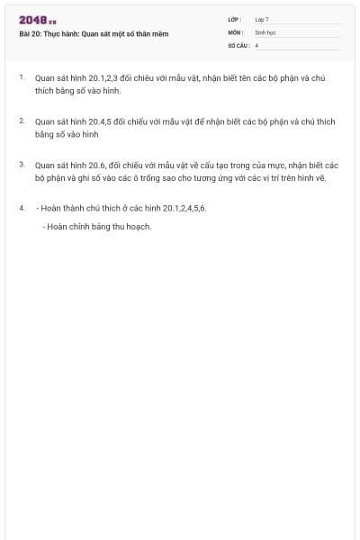 Bài 20: Thực hành: Quan sát một số thân mềm