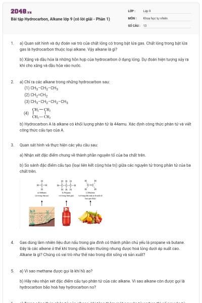Bài tập Hydrocarbon, Alkane lớp 9 (có lời giải - Phần 1)