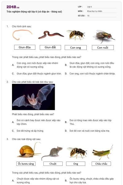 Trắc nghiệm Động vật lớp 6 (có đáp án - Đúng sai)
