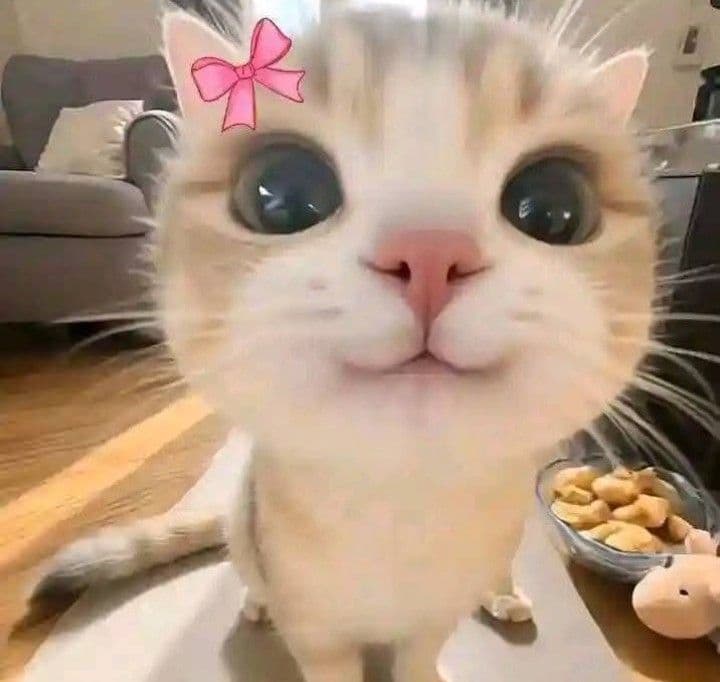hehi