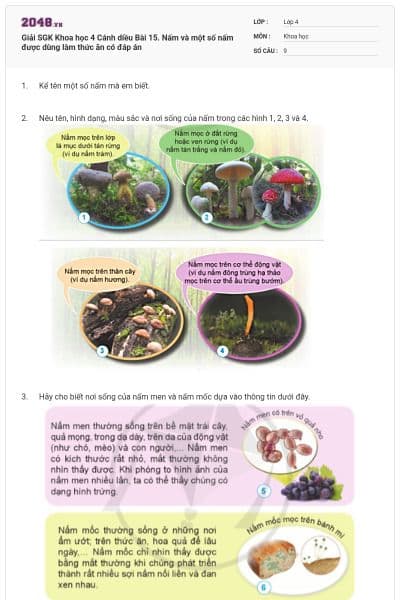 Giải SGK Khoa học 4 Cánh diều Bài 15. Nấm và một số nấm được dùng làm thức ăn có đáp án