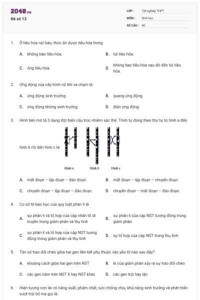 Đề số 13