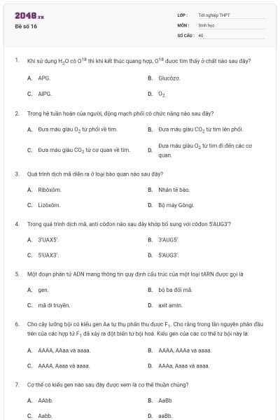 Đề số 16