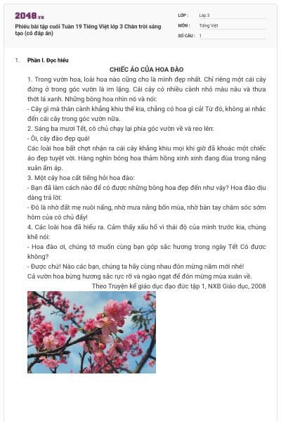 Phiếu bài tập cuối Tuần 19 Tiếng Việt lớp 3 Chân trời sáng tạo (có đáp án)