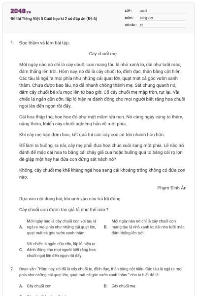 Đề thi Tiếng Việt 5 Cuối học kì 2 có đáp án (Đề 5)