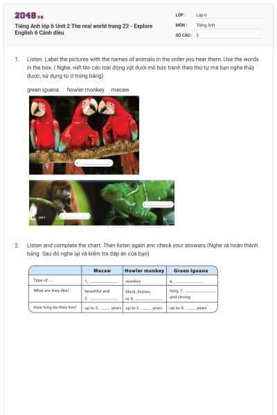 Tiếng Anh lớp 6 Unit 2 The real world trang 22 - Explore English 6 Cánh diều