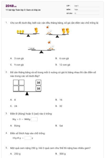 11 bài tập Toán lớp 3: Gam có đáp án