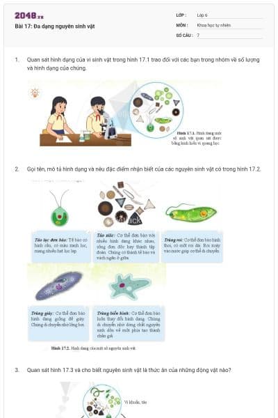 Bài 17: Đa dạng nguyên sinh vật