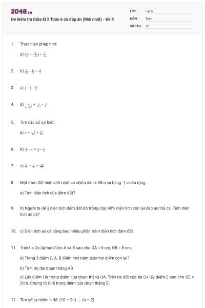 Đề kiểm tra Giữa kì 2 Toán 6 có đáp án (Mới nhất) - Đề 8