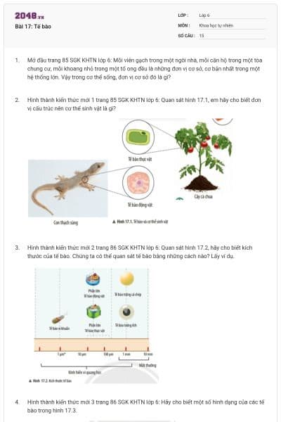 Bài 17: Tế bào