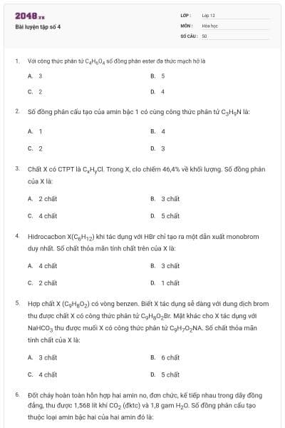 Bài luyện tập số 4