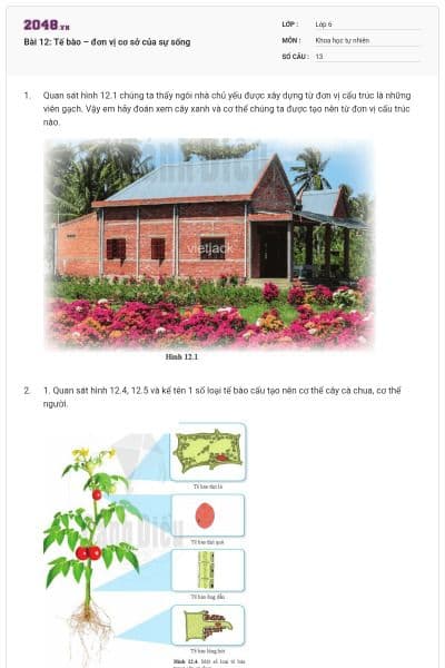 Bài 12: Tế bào – đơn vị cơ sở của sự sống