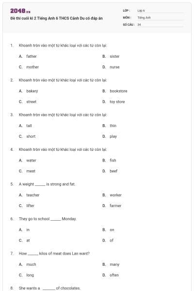 Đề thi cuối kì 2 Tiếng Anh 6 THCS Cảnh Du có đáp án