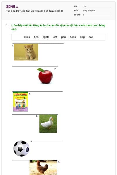 Top 5 Đề thi Tiếng Anh lớp 1 Học kì 1 có đáp án (Đề 1)