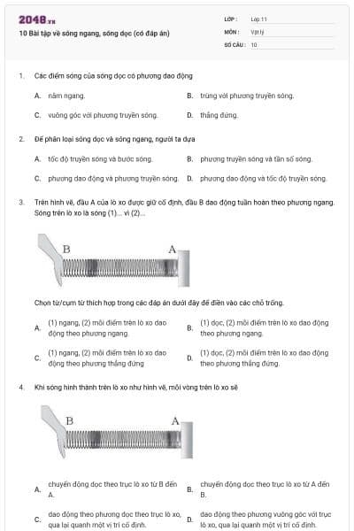 10 Bài tập về sóng ngang, sóng dọc (có đáp án)
