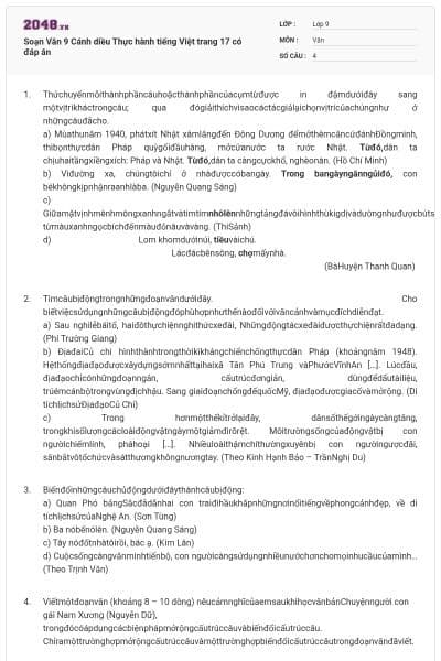 Soạn Văn 9 Cánh diều Thực hành tiếng Việt trang 17 có đáp án