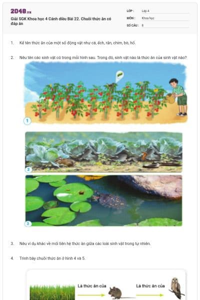 Giải SGK Khoa học 4 Cánh diều Bài 22. Chuỗi thức ăn có đáp án