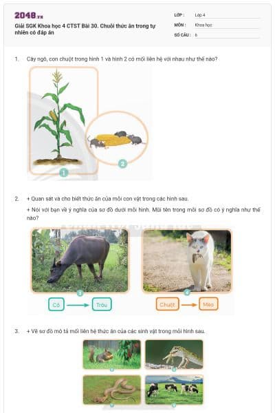Giải SGK Khoa học 4 CTST Bài 30. Chuỗi thức ăn trong tự nhiên có đáp án