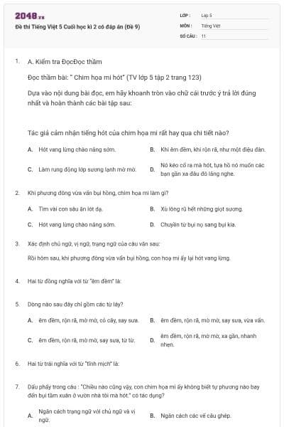 Đề thi Tiếng Việt 5 Cuối học kì 2 có đáp án (Đề 9)