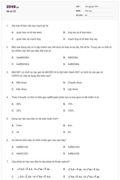 Đề số 22
