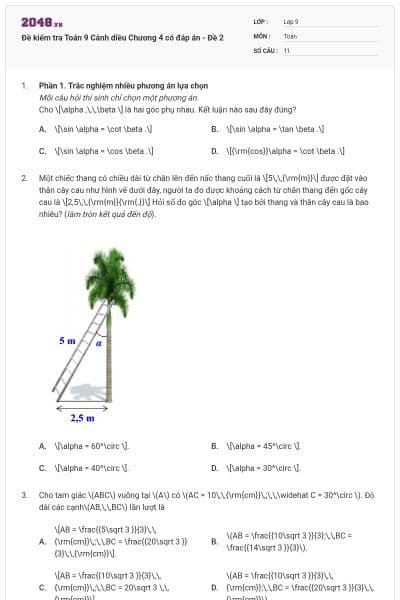 Đề kiểm tra Toán 9 Cánh diều Chương 4 có đáp án - Đề 2