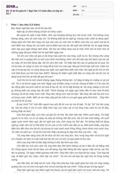 Bộ 10 đề thi giữa kì 1 Ngữ Văn 12 Cánh diều có đáp án - Đề 7