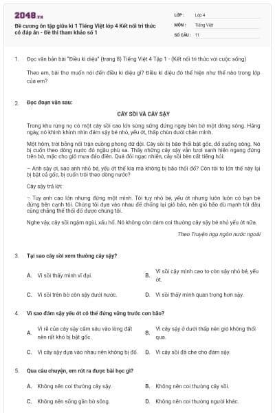 Đề cương ôn tập giữa kì 1 Tiếng Việt lớp 4 Kết nối tri thức có đáp án - Đề thi tham khảo số 1