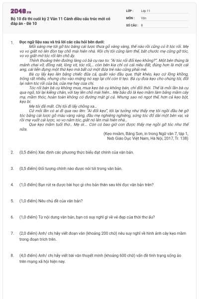 Bộ 10 đề thi cuối kỳ 2 Văn 11 Cánh diều cấu trúc mới có đáp án - Đề 10