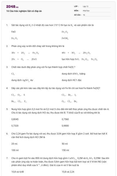 16 Câu trắc nghiệm Sắt có đáp án