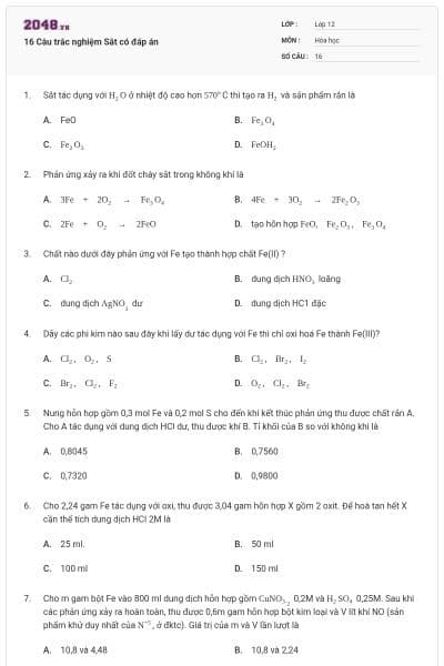 16 Câu trắc nghiệm Sắt có đáp án