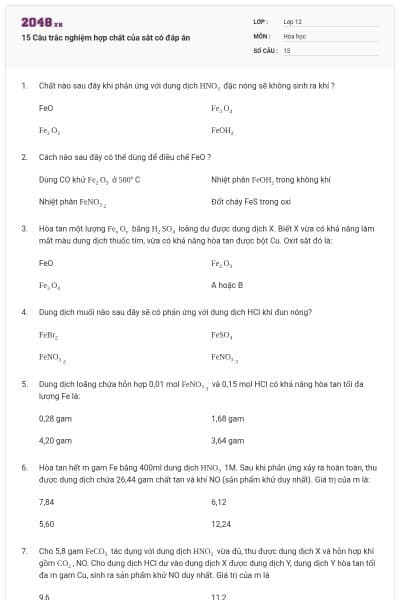 15 Câu trắc nghiệm hợp chất của sắt có đáp án