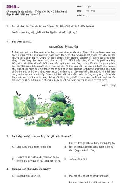 Đề cương ôn tập giữa kì 1 Tiếng Việt lớp 4 Cánh diều có đáp án - Đề thi tham khảo số 6
