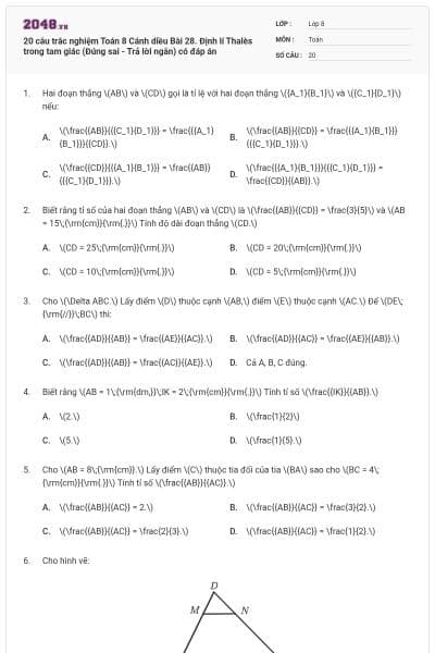 20 câu trắc nghiệm Toán 8 Cánh diều Bài 28. Định lí Thalès trong tam giác (Đúng sai - Trả lời ngắn) có đáp án