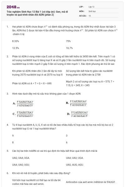 Trắc nghiệm Sinh Học 12 Bài 1 (có đáp án): Gen, mã di truyền và quá trình nhân đôi ADN (phần 2)