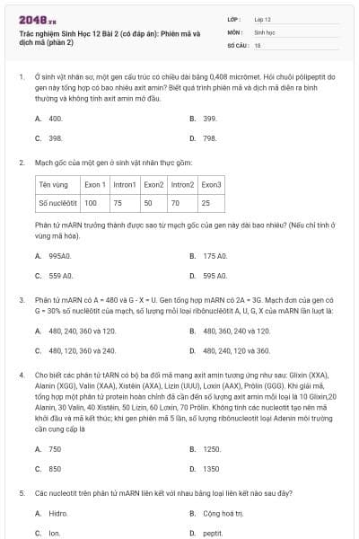 Trắc nghiệm Sinh Học 12 Bài 2 (có đáp án): Phiên mã và dịch mã (phần 2)