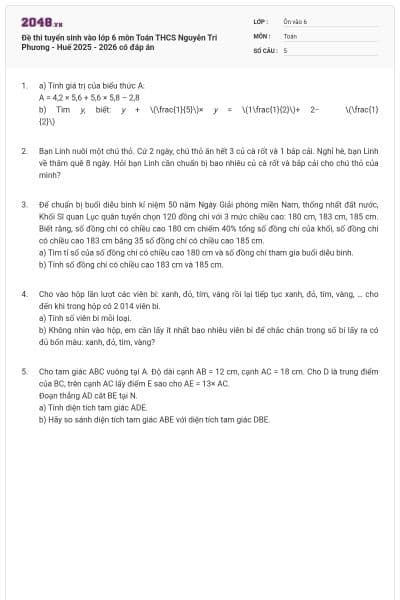 Đề thi tuyển sinh vào lớp 6 môn Toán THCS Nguyễn Tri Phương - Huế 2025 - 2026 có đáp án