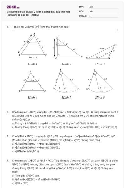 Đề cương ôn tập giữa kì 2 Toán 8 Cánh diều cấu trúc mới (Tự luận) có đáp án - Phần 2