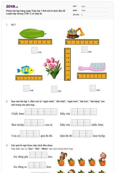 Phiếu bài tập hàng ngày Toán lớp 1 Kết nối tri thức Bài 28. Luyện tập chung (Tiết 1) có đáp án