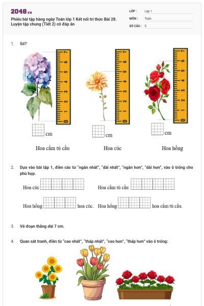 Phiếu bài tập hàng ngày Toán lớp 1 Kết nối tri thức Bài 28. Luyện tập chung (Tiết 2) có đáp án