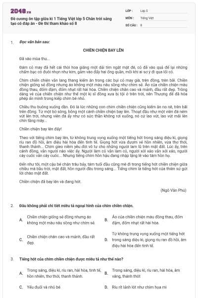 Đề cương ôn tập giữa kì 1 Tiếng Việt lớp 5 Chân trời sáng tạo có đáp án - Đề thi tham khảo số 8